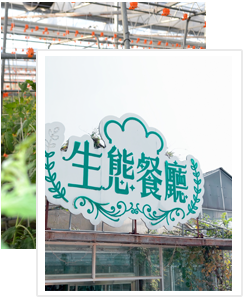 ���B(t��i)�͏dϵ��